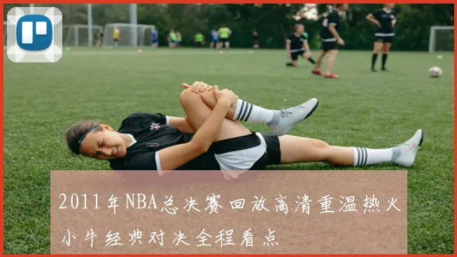 2011年NBA总决赛回放高清重温热火小牛经典对决全程看点