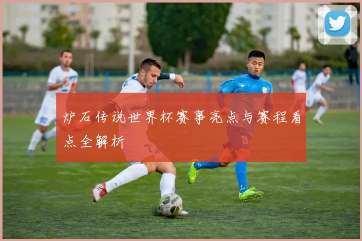 炉石传说世界杯赛事亮点与赛程看点全解析