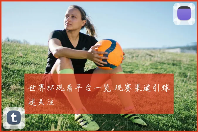 世界杯观看平台一览 观赛渠道引球迷关注