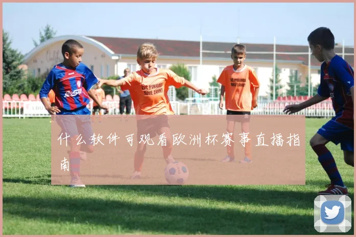 什么软件可观看欧洲杯赛事直播指南