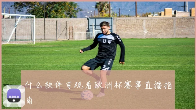什么软件可观看欧洲杯赛事直播指南